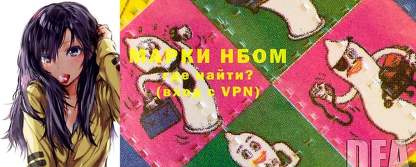 прущие грибы Аркадак
