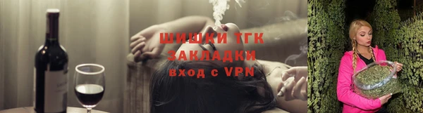 прущие грибы Аркадак