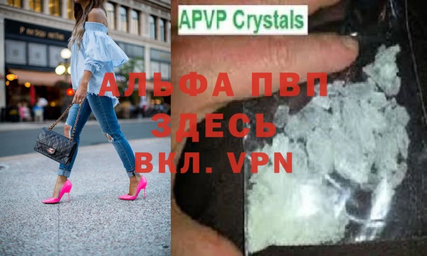 прущие грибы Аркадак