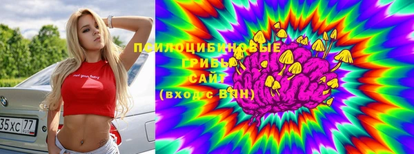 прущие грибы Аркадак