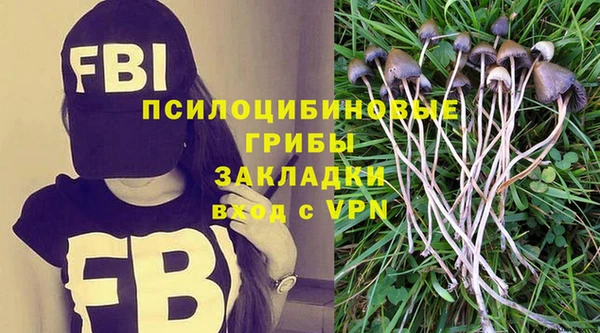 прущие грибы Аркадак